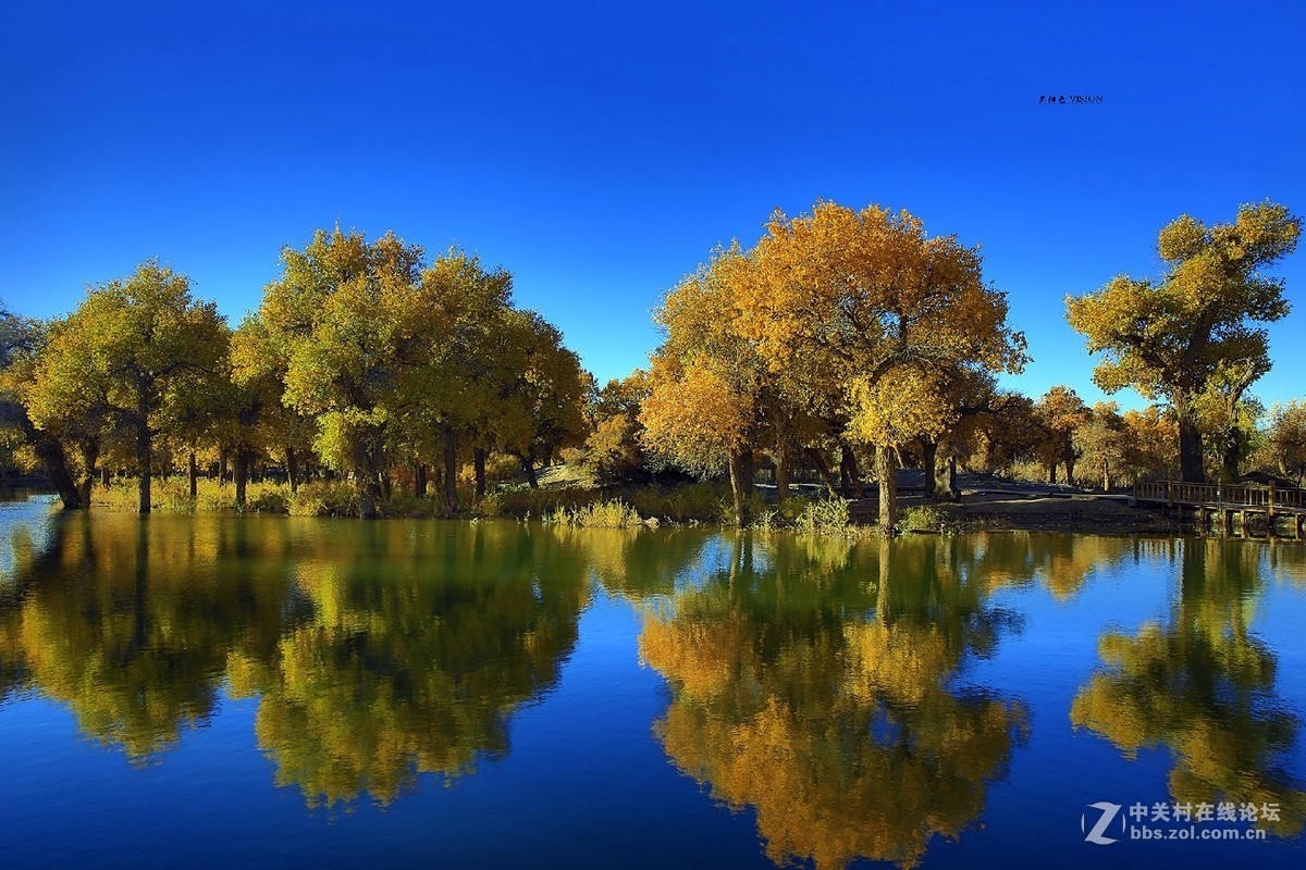 我的2018摄影告白