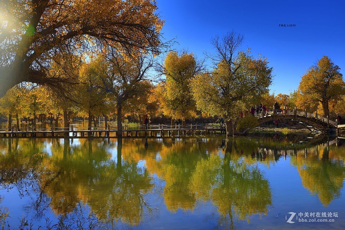 我的2018摄影告白