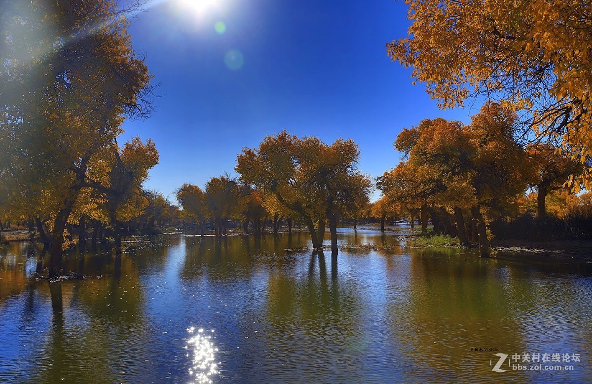 我的2018摄影告白