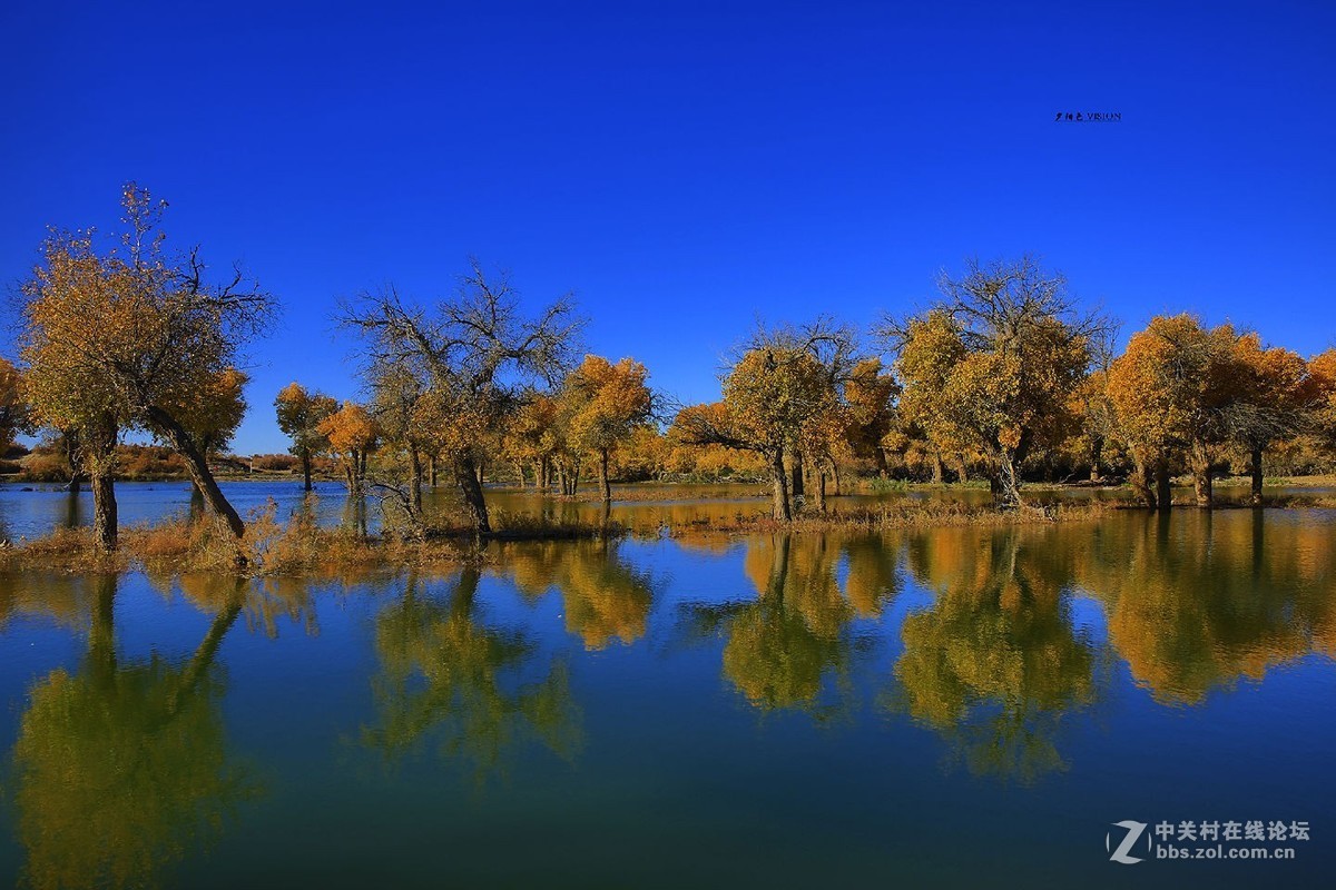 我的2018摄影告白