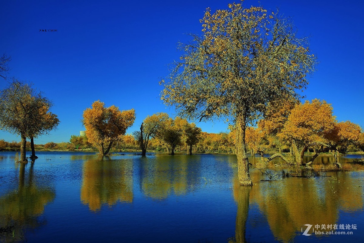 我的2018摄影告白