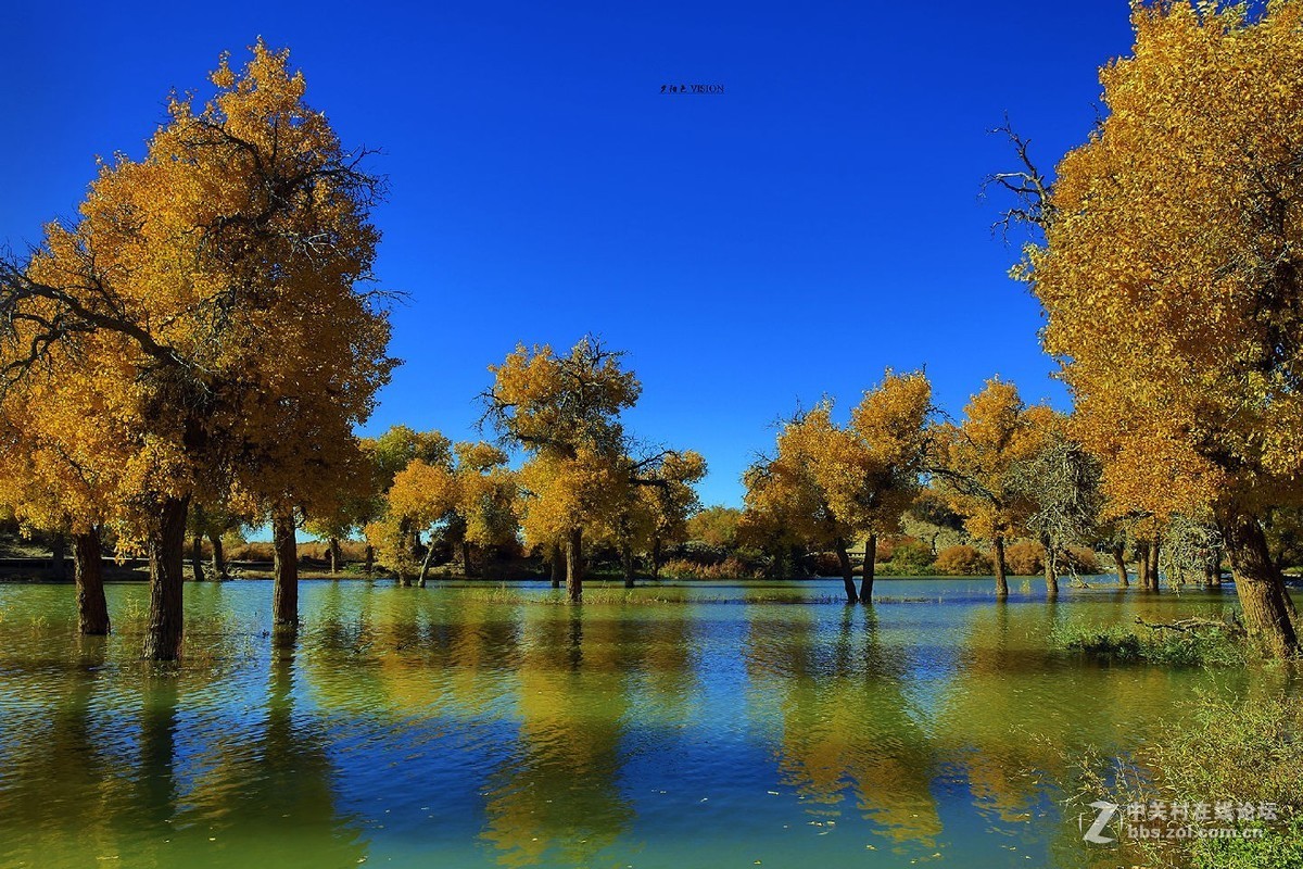 我的2018摄影告白