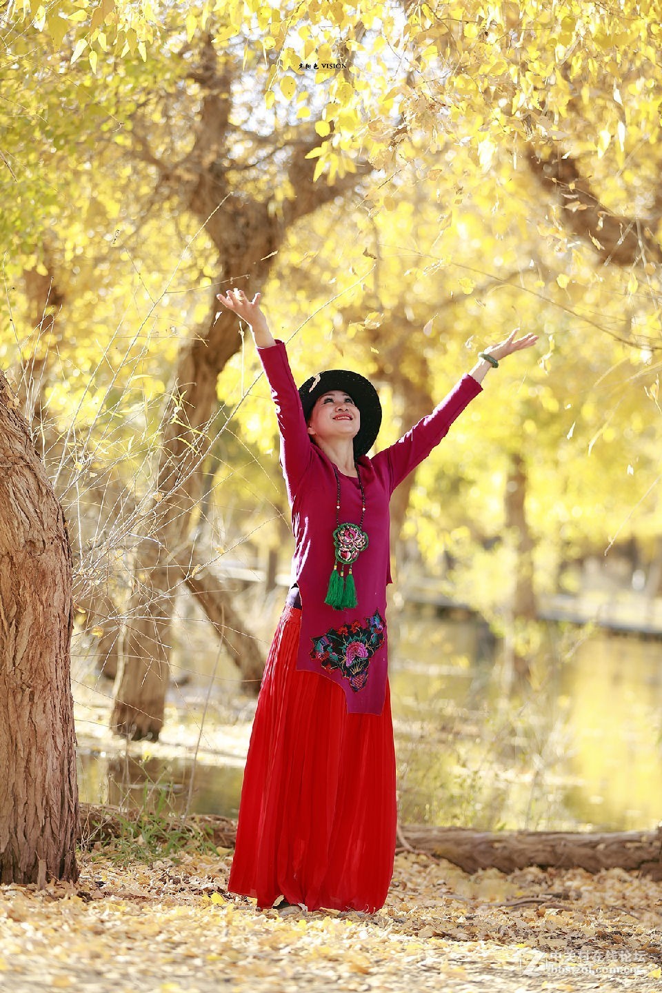 我的2018摄影告白