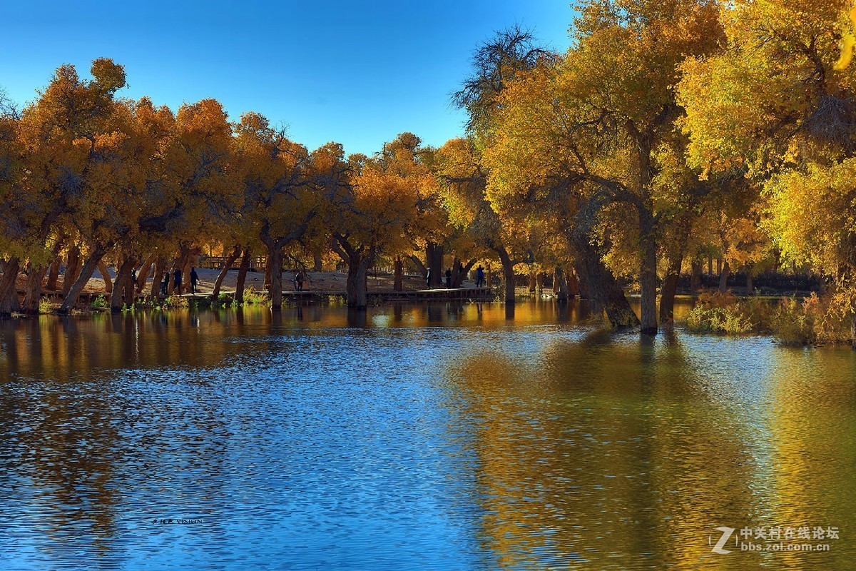 我的2018摄影告白