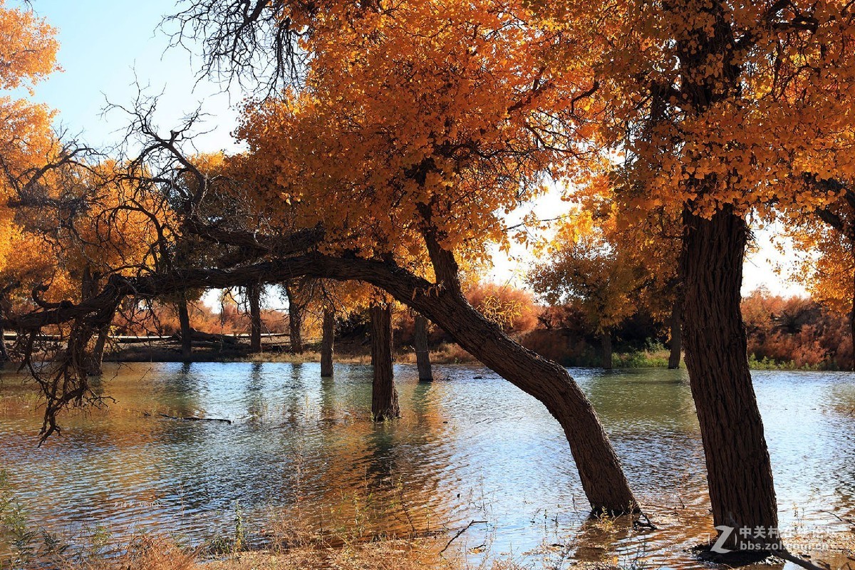 我的2018摄影告白