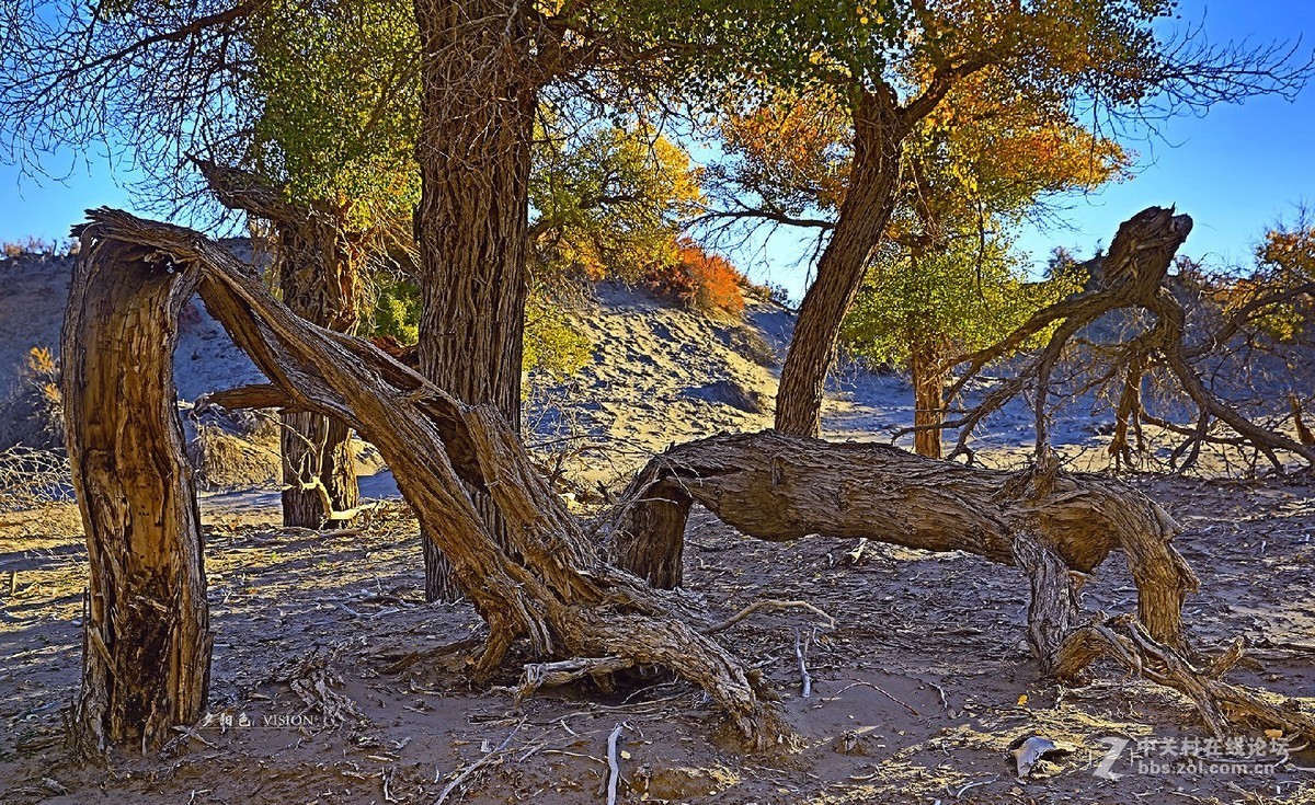 我的2018摄影告白