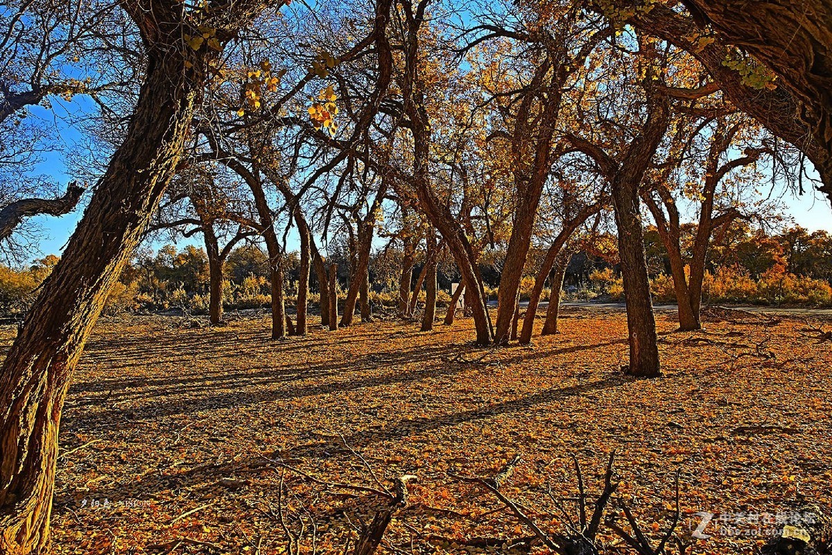我的2018摄影告白