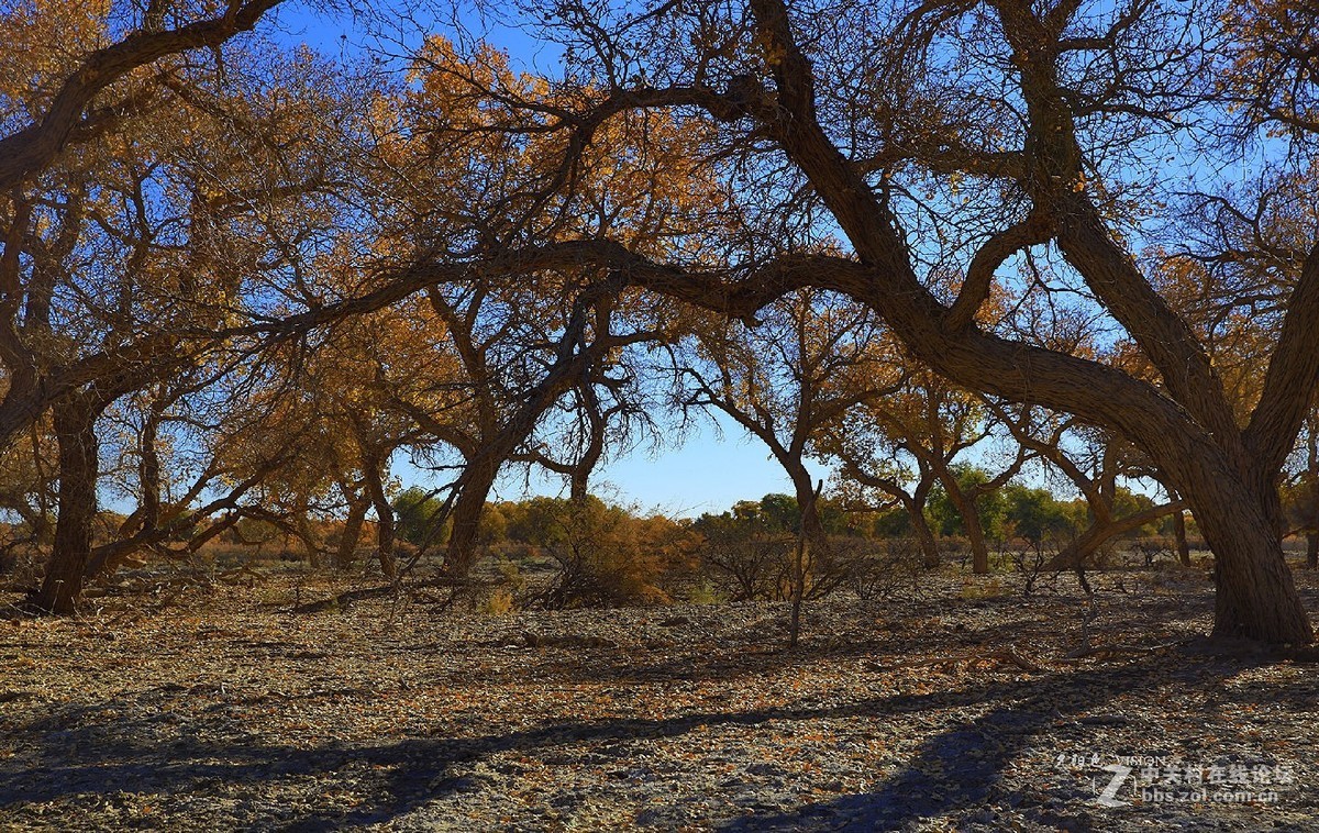 我的2018摄影告白