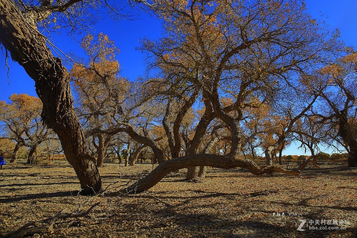 我的2018摄影告白