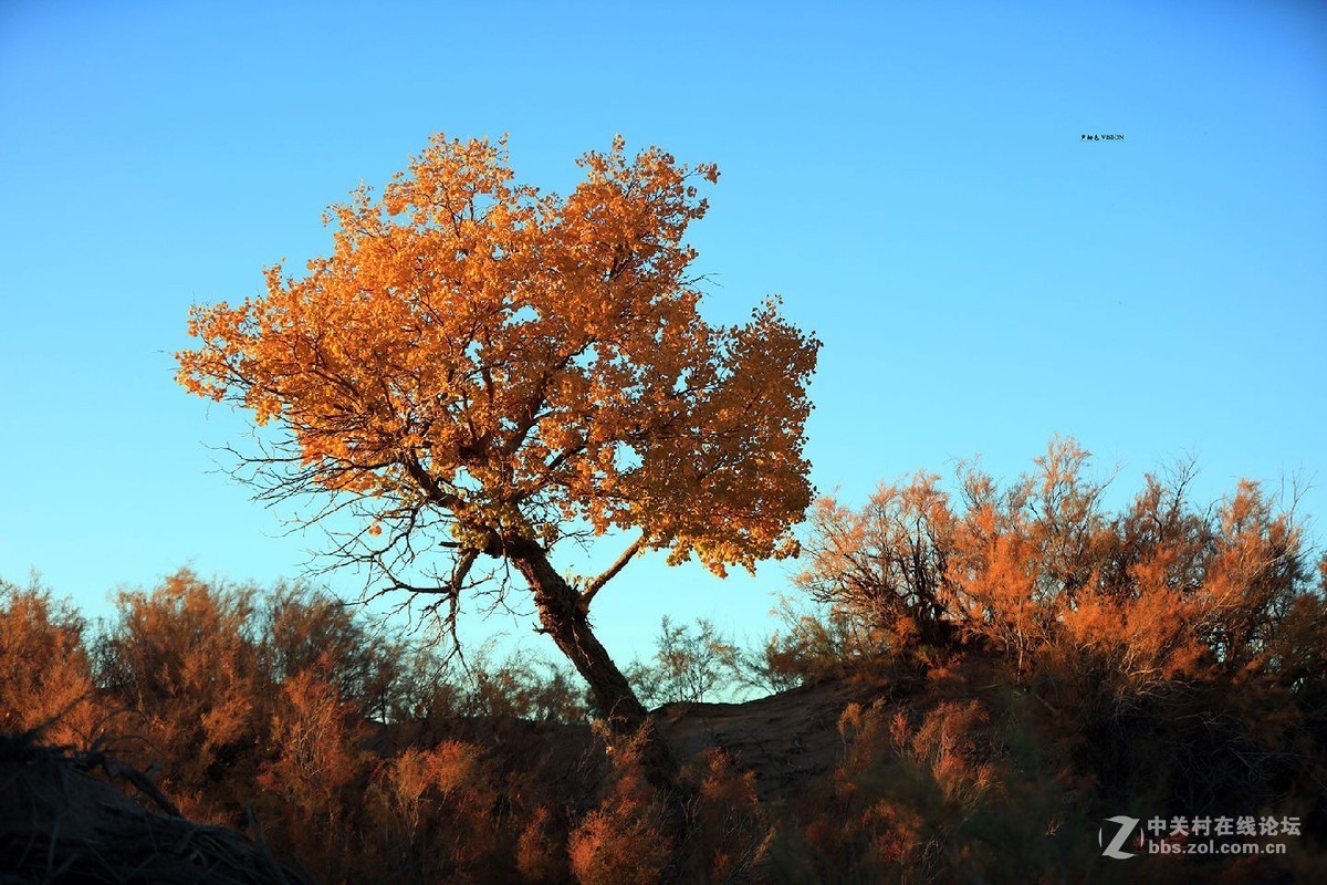我的2018摄影告白