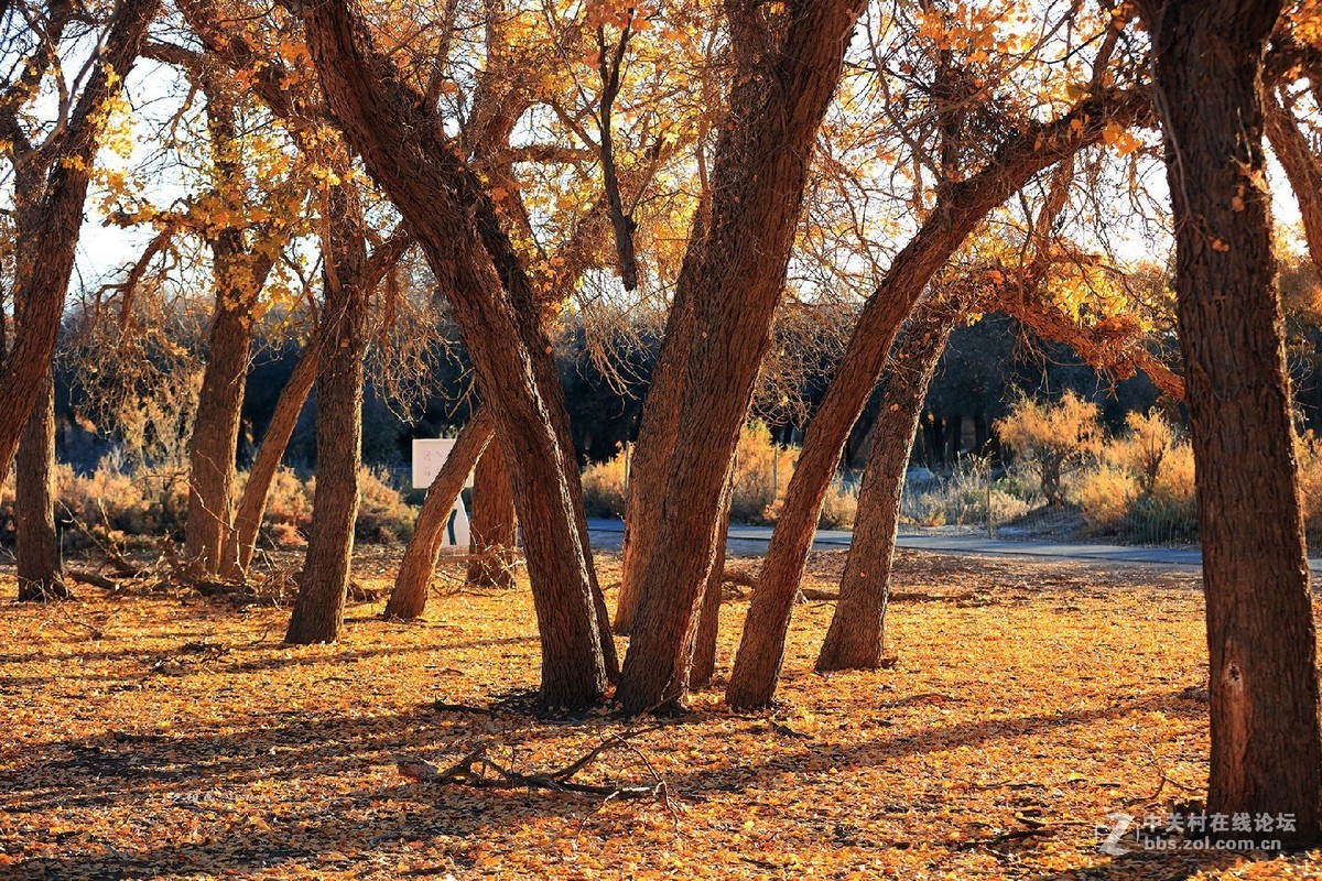 我的2018摄影告白