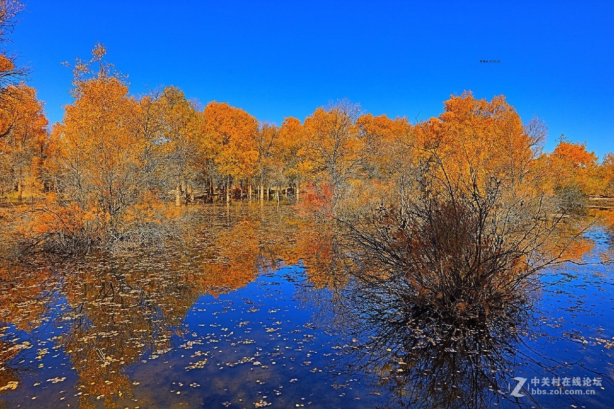 我的2018摄影告白
