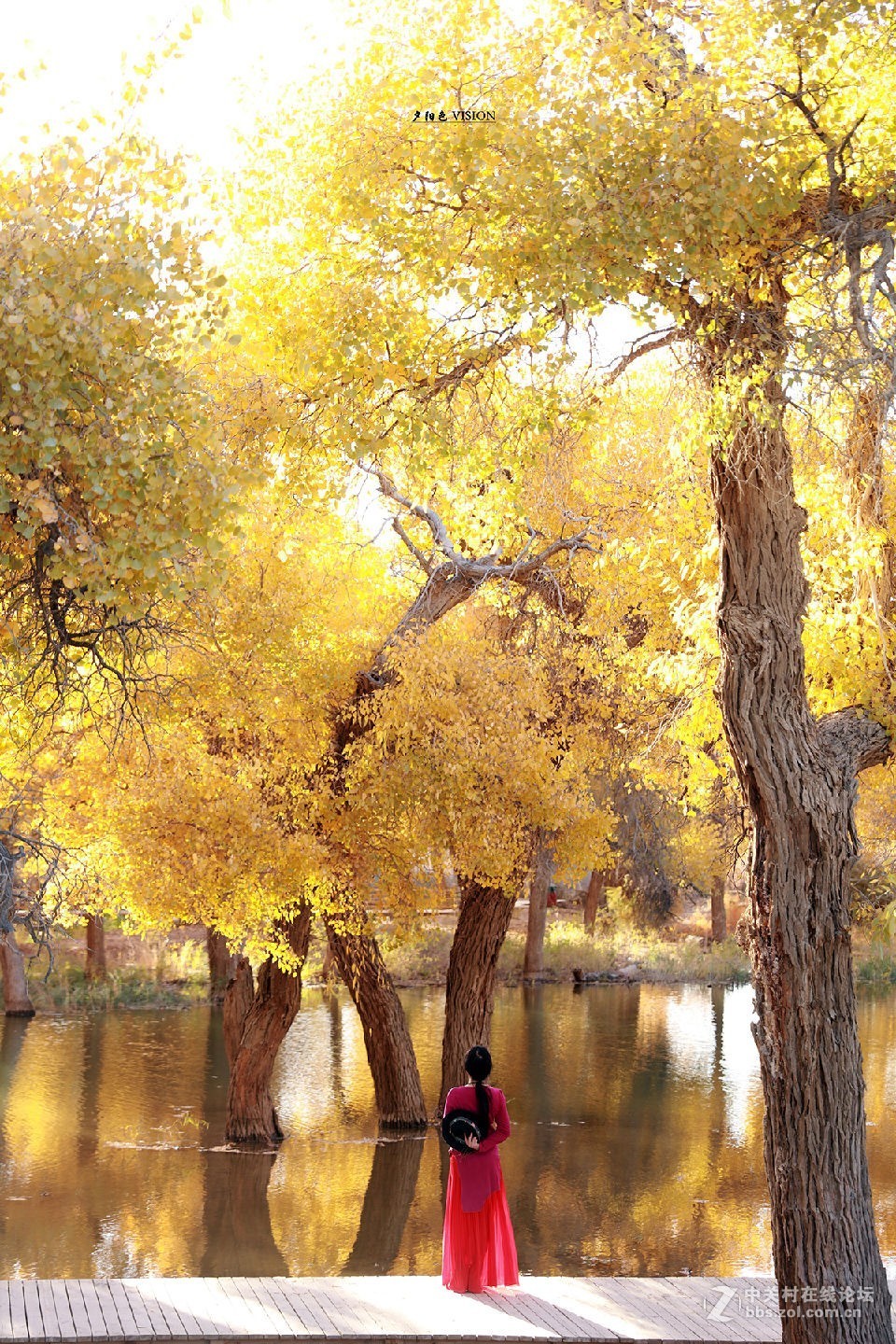 我的2018摄影告白