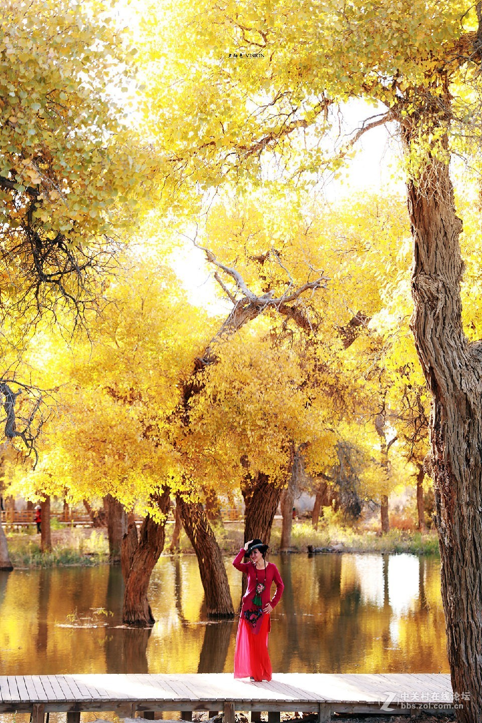 我的2018摄影告白