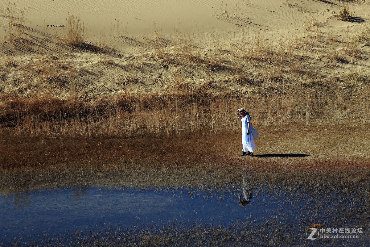 我的2018摄影告白