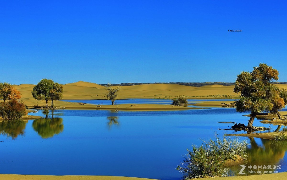 我的2018摄影告白