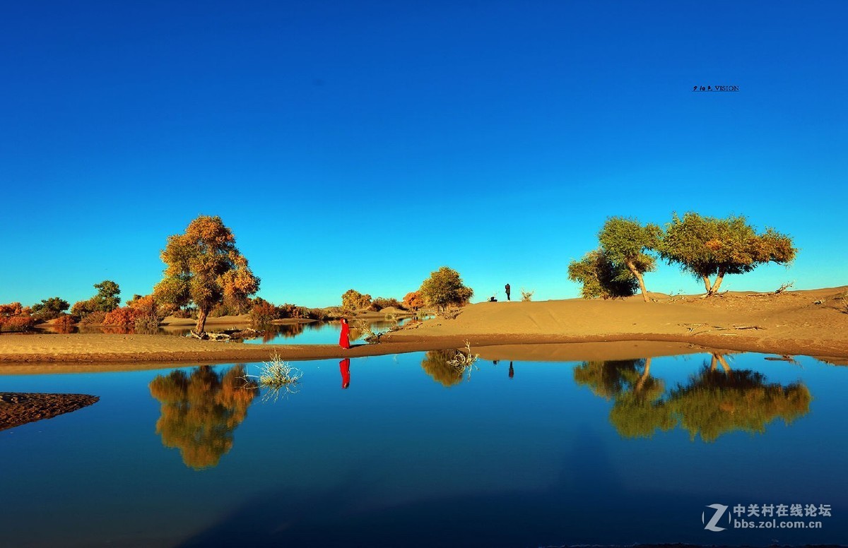 我的2018摄影告白