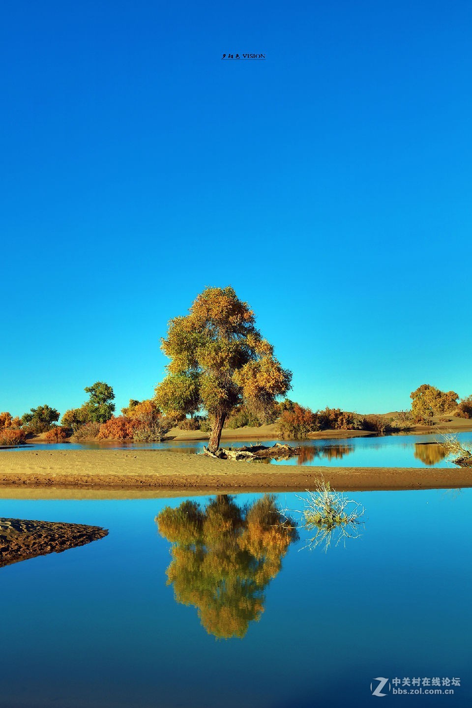 我的2018摄影告白