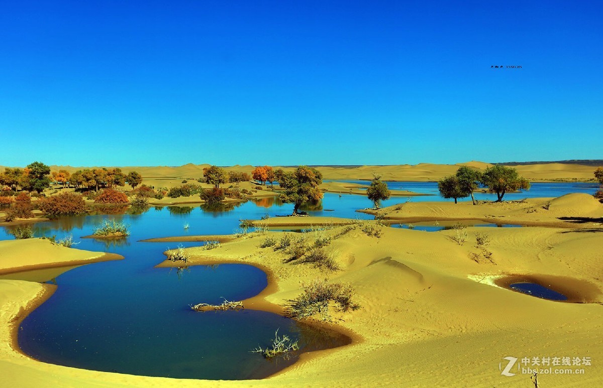 我的2018摄影告白