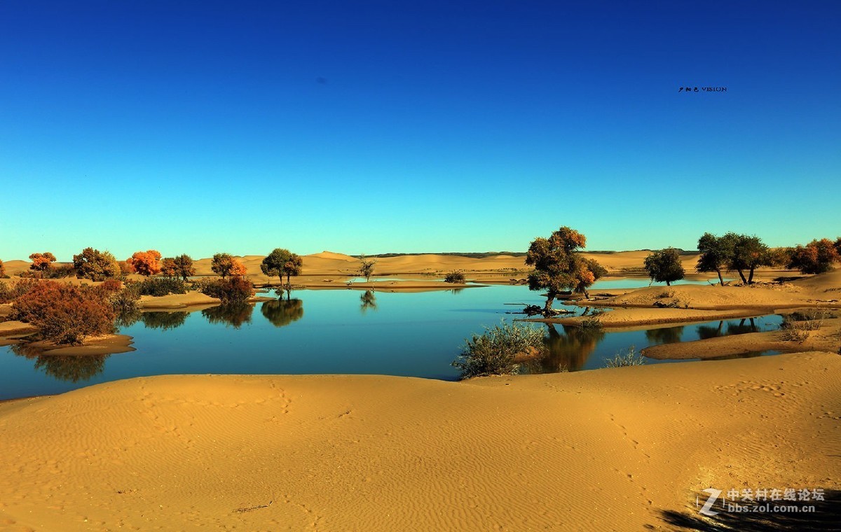 我的2018摄影告白