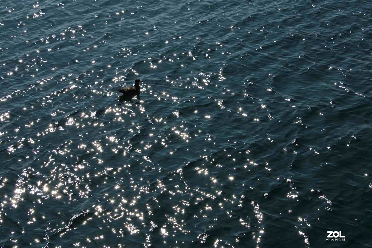 佳能T7（1500D）加狗头拍的