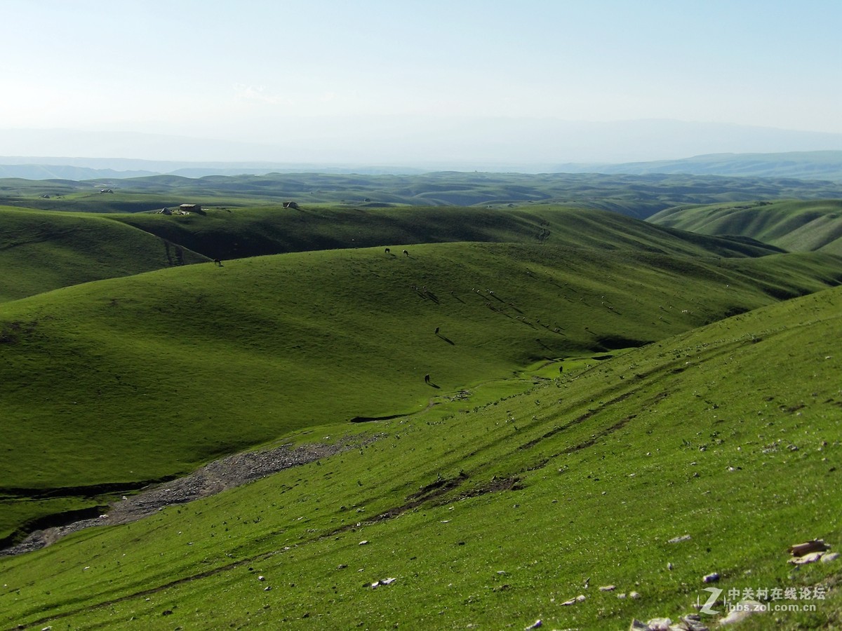 南北疆风光----宾得长焦机（二）