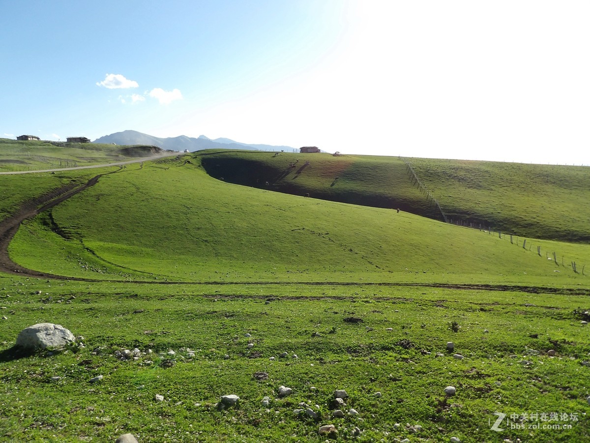 南北疆风光----宾得长焦机（二）