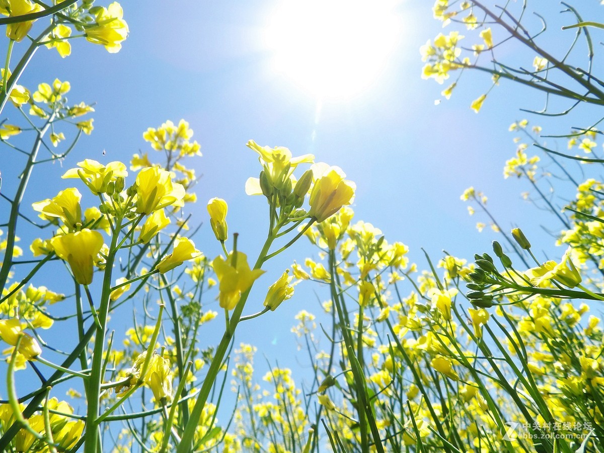 南北疆风光----宾得长焦机（一）