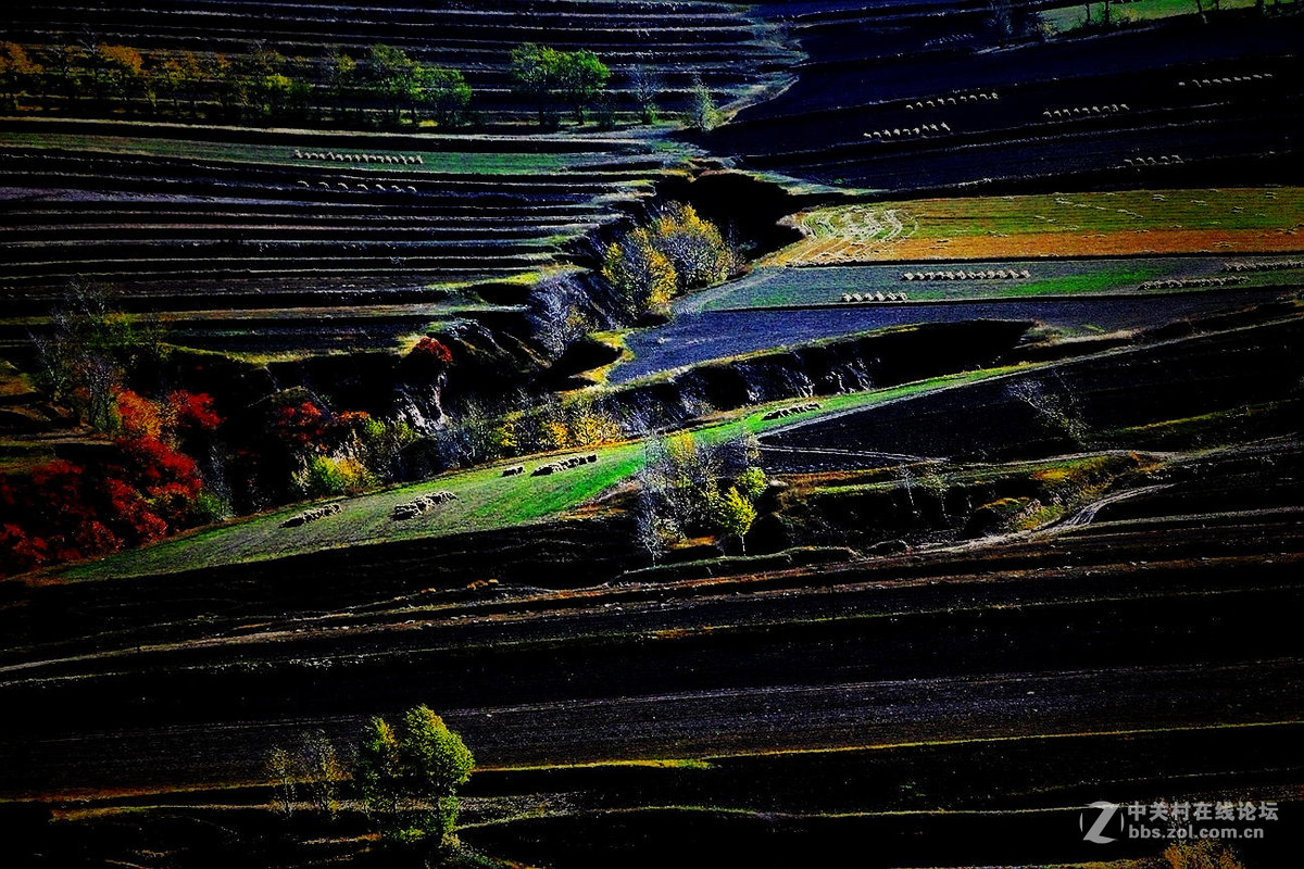 【原创】《锦绣坝上风光美》完全版（新加10片）