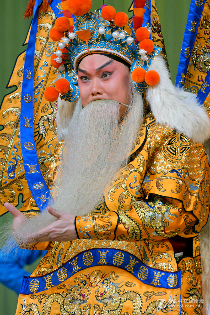 京剧珠帘寨剧照下20150302张克主演