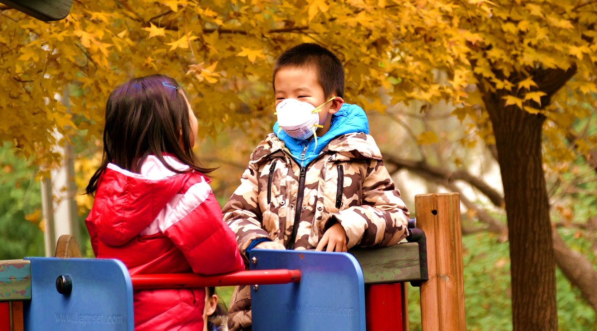 我的一组小区秋色（松下FZ100）