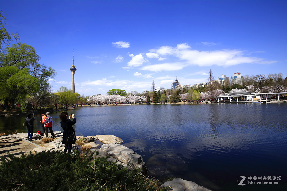 玉渊潭春景2.