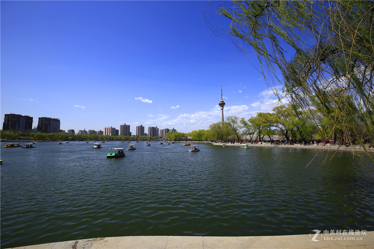 玉渊潭春景2.