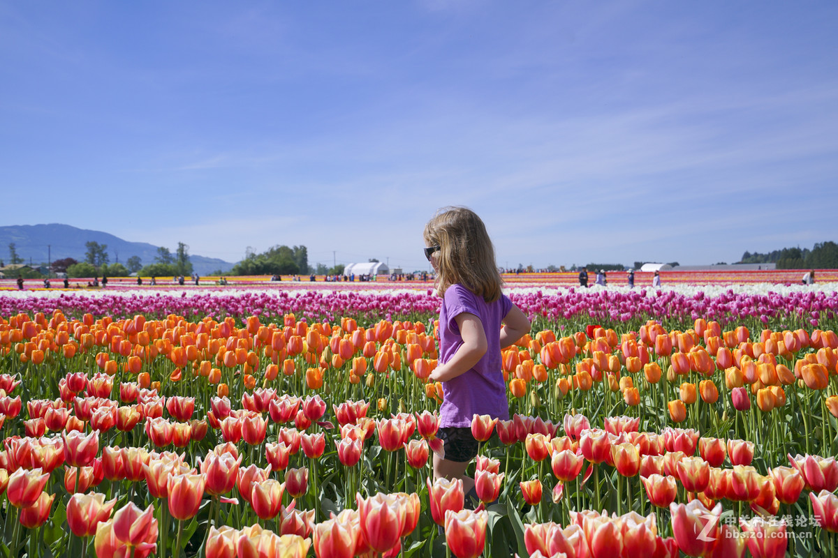 #版主坐堂#索尼A7RII星空(中国) 2016年5月牛片(顺带请假}