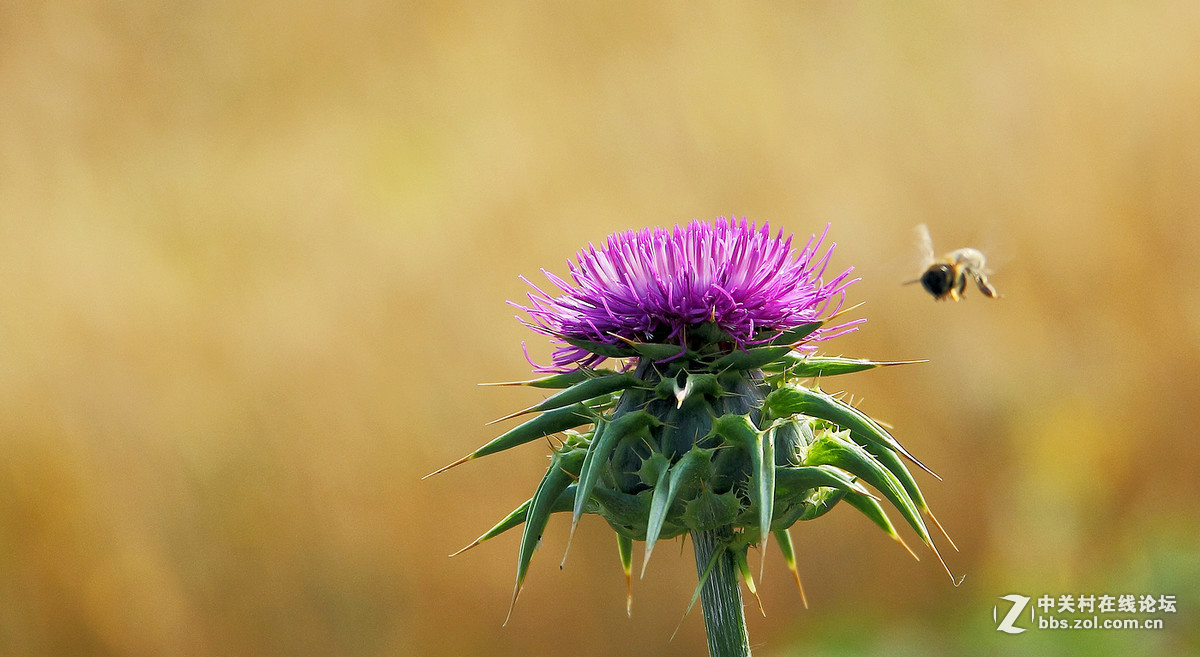2016年6—7月《红河星空(中国)》优秀作品精选集