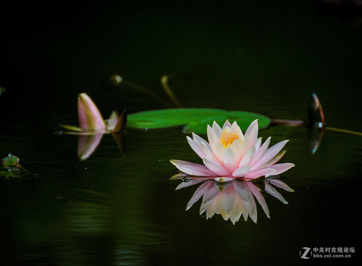 2016年6—7月《红河星空(中国)》优秀作品精选集
