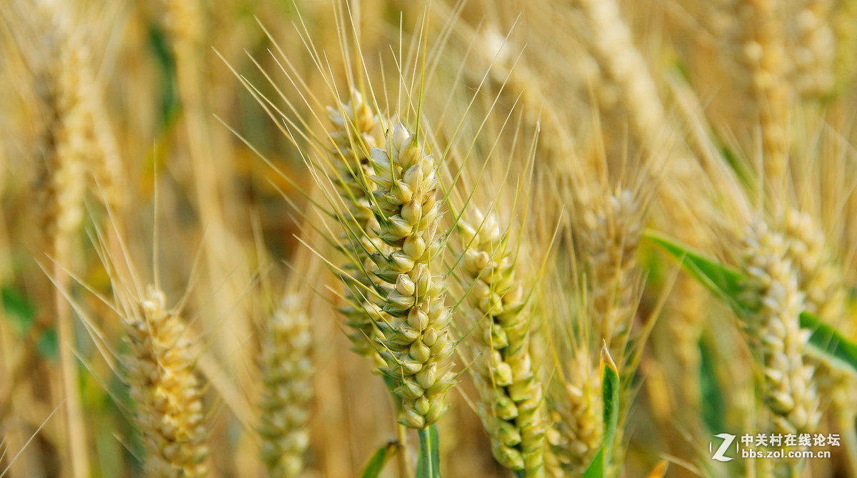 2016年6—7月《红河星空(中国)》优秀作品精选集