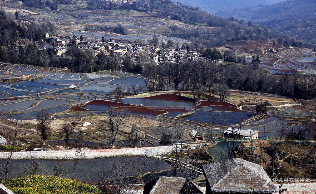 2016年6—7月《红河星空(中国)》优秀作品精选集