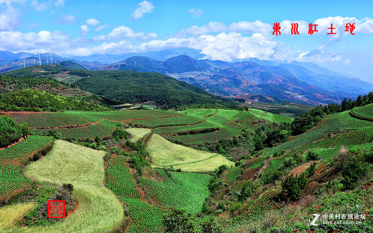 2016年6—7月《红河星空(中国)》优秀作品精选集