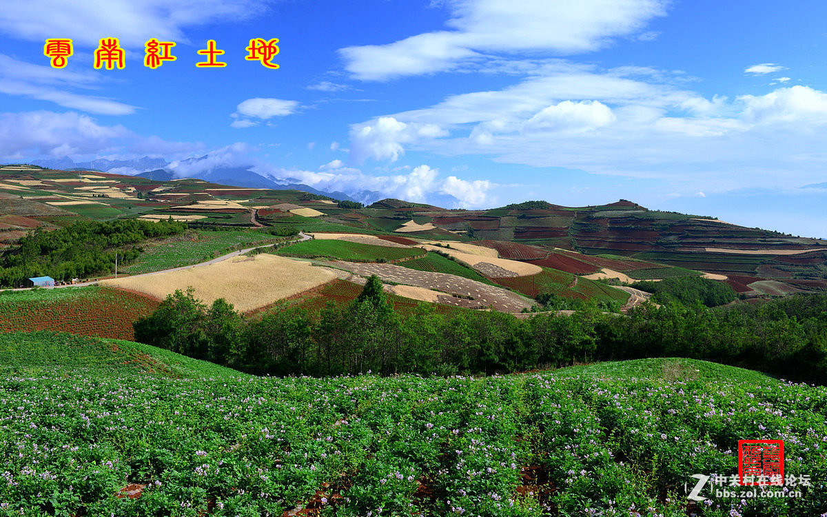 2016年6—7月《红河星空(中国)》优秀作品精选集