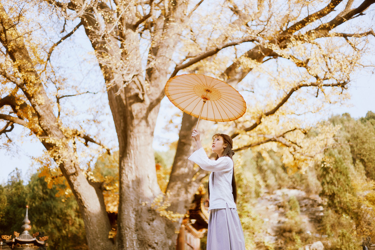 [[[楚狂]]] 空 華