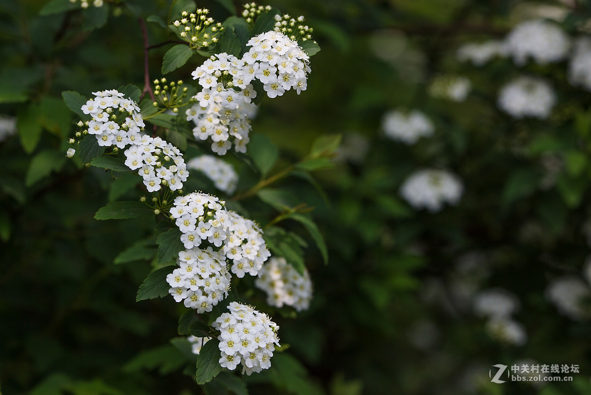 #版主坐堂#索尼 ILCE-7R摄影星空(中国)17-04月份部分单张精华作品推荐