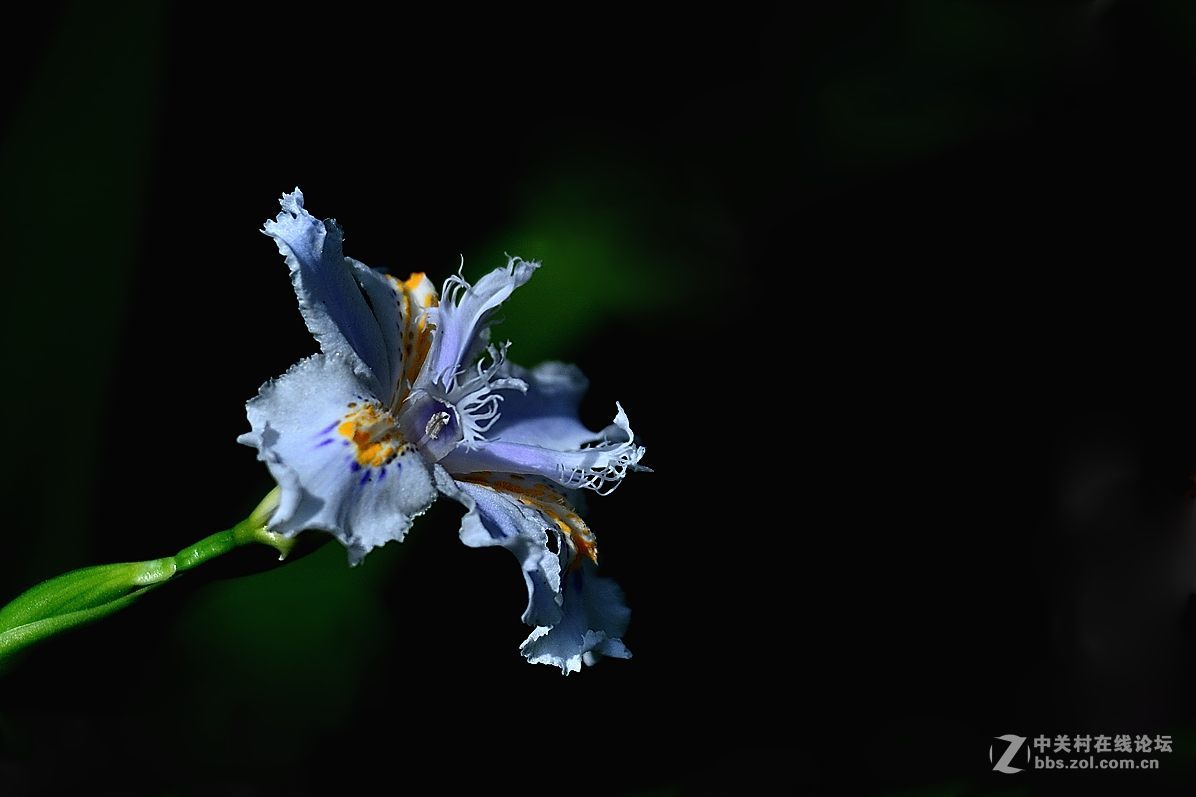 #版主坐堂#索尼 ILCE-7R摄影星空(中国)17-04月份部分单张精华作品推荐