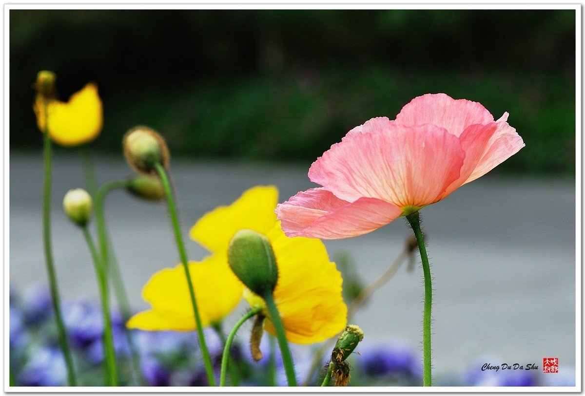 #版主坐堂#索尼 ILCE-7R摄影星空(中国)17-04月份部分单张精华作品推荐