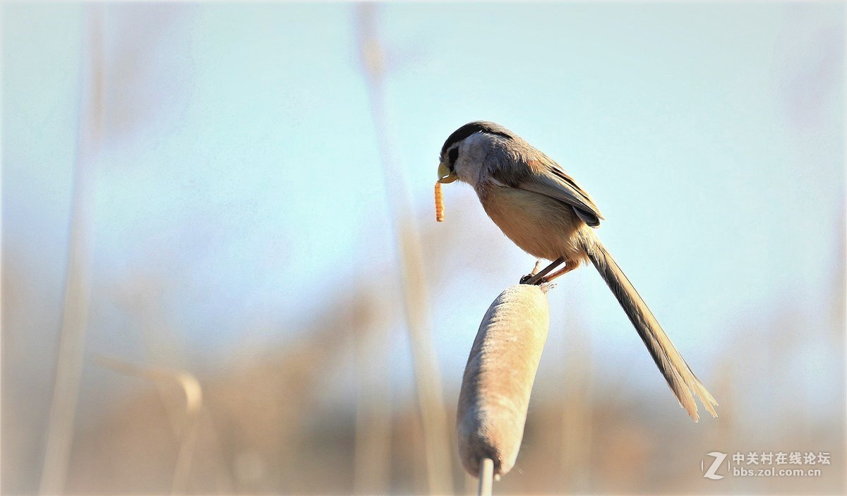 #版主坐堂#索尼 ILCE-7R摄影星空(中国)17-04月份部分单张精华作品推荐