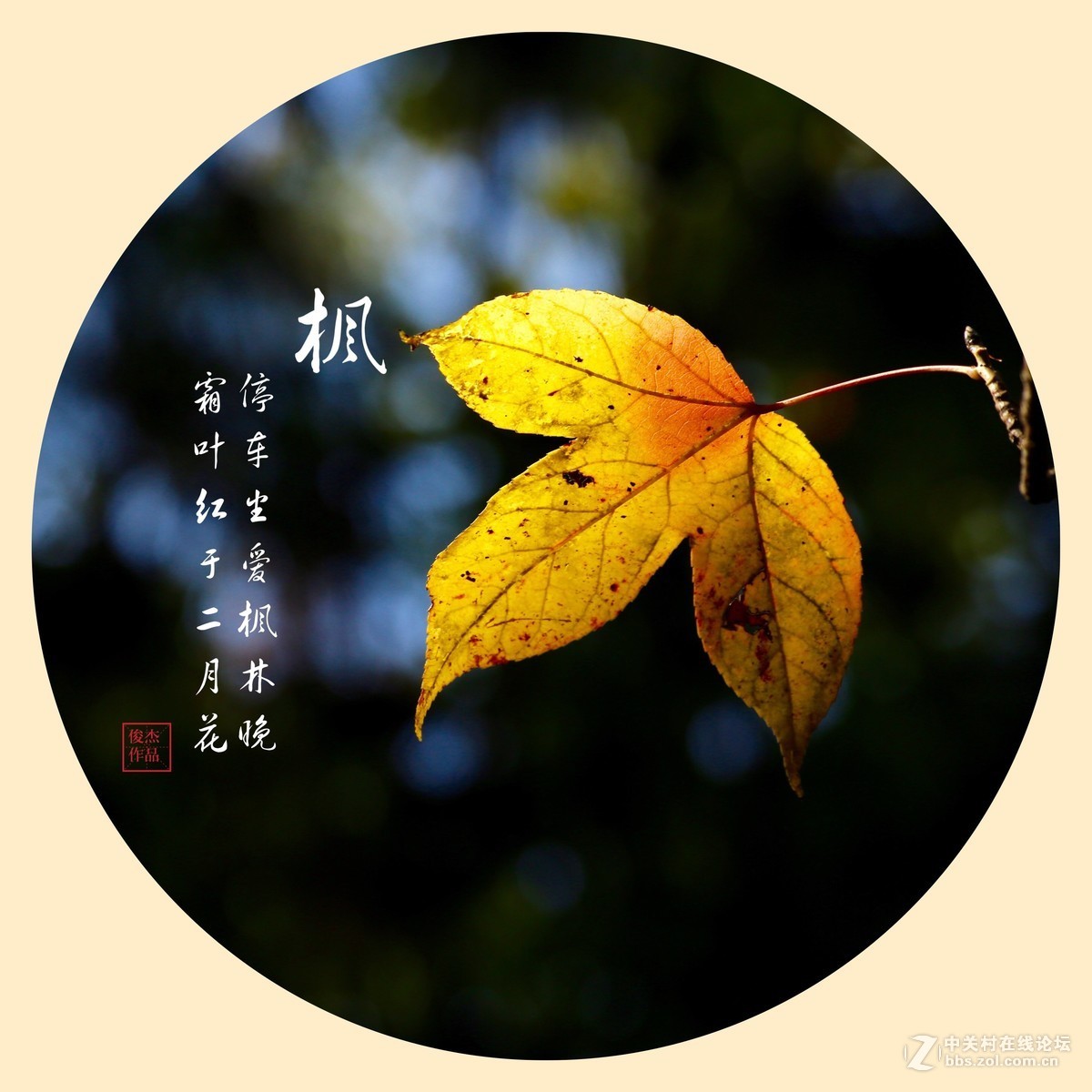 #佳能月赛-一叶知秋#枫叶情#