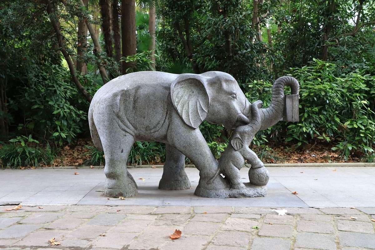 缘     杨浦公园(三潭印月)