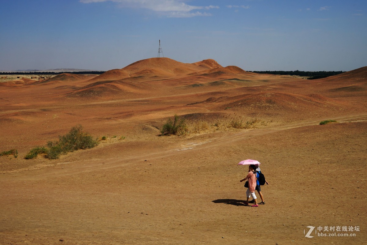 “劝君更尽一杯酒，西出阳关无故人”