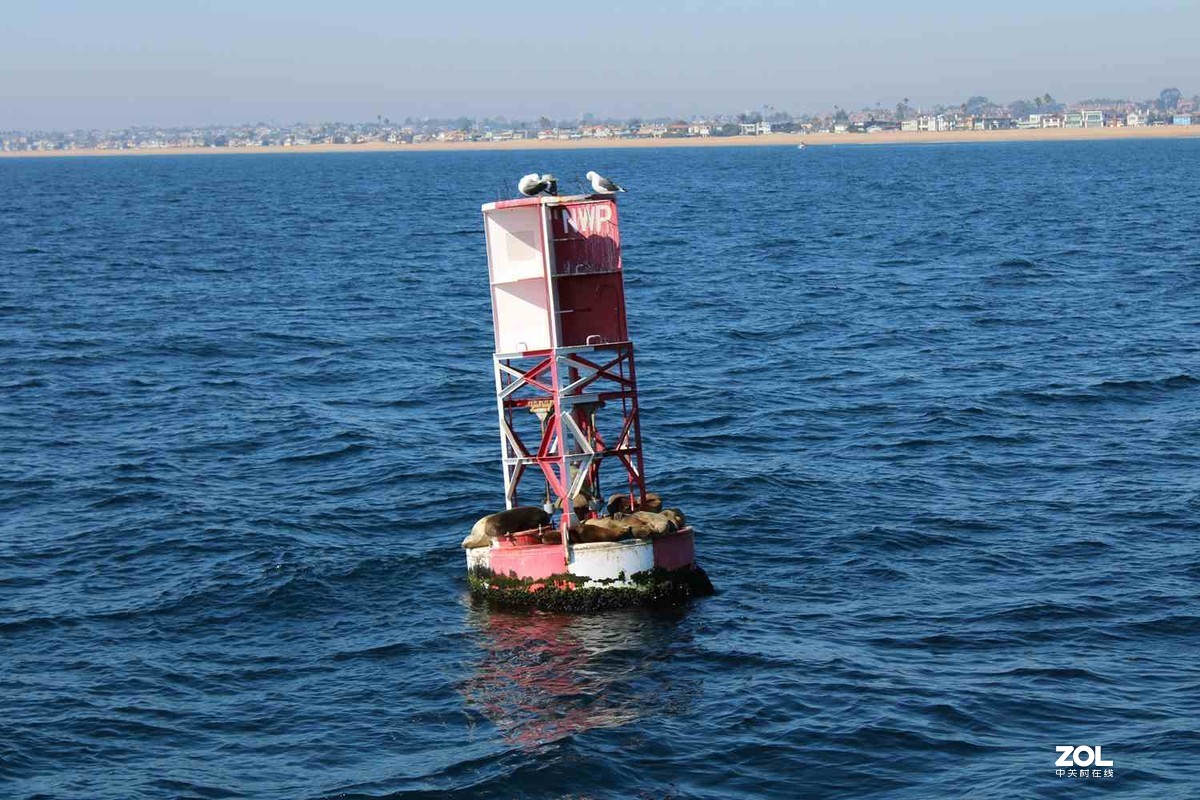 佳能T7（1500D）加狗头拍的