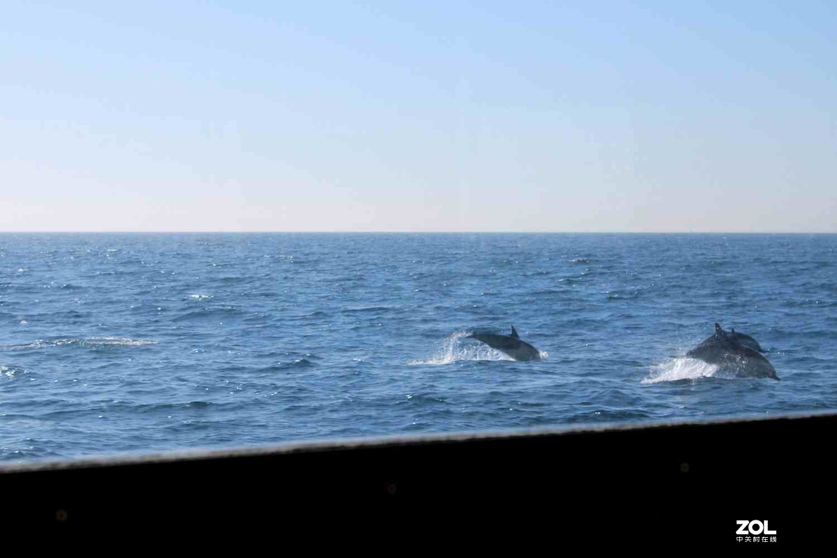 佳能T7（1500D）加狗头拍的